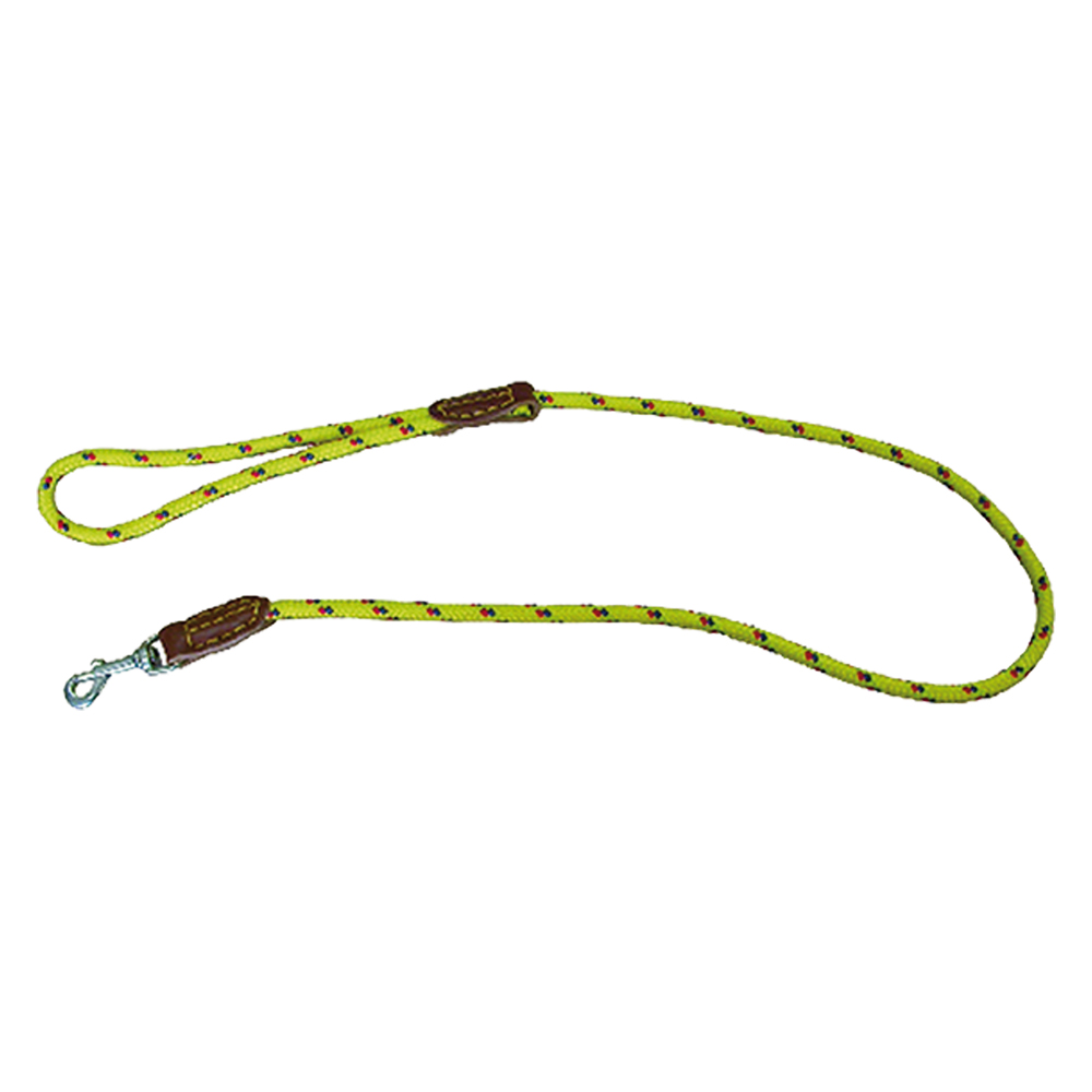 GUINZAGLIO PER CANE - immagine 1