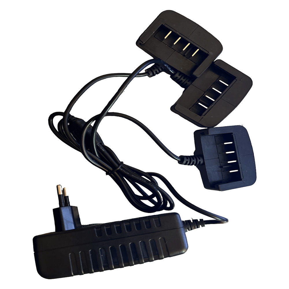 CARICA BATTERIA A 3 VIE 2.5 Ah - 21,6 W - immagine 1