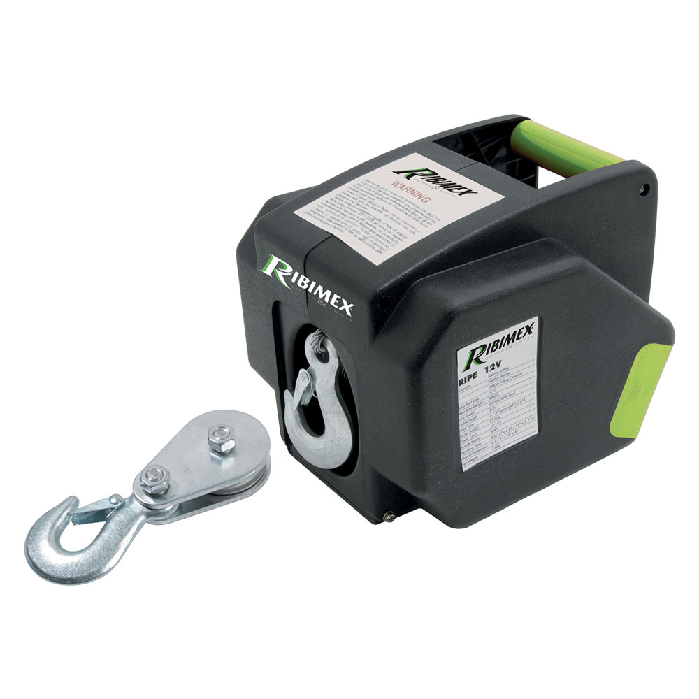 VERRICELLO ELETTRICO Kg 900 - 300 W (12V - 25A) - immagine 1