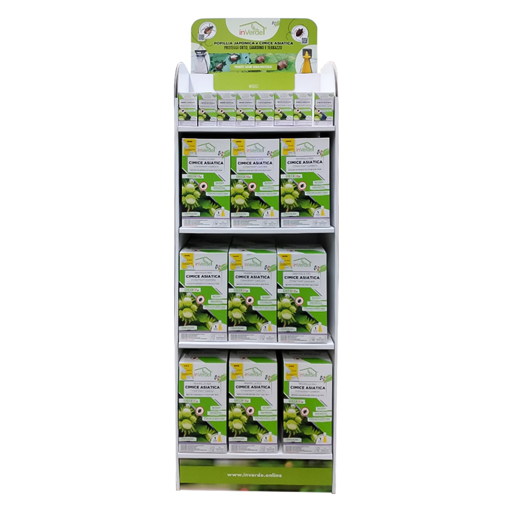 ESPOSITORE CIMICE ASIATICA inclusi 82 pz. - immagine 1